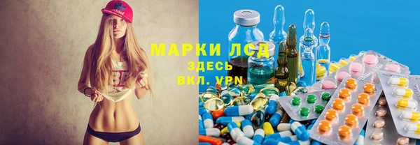 мдпв Карпинск
