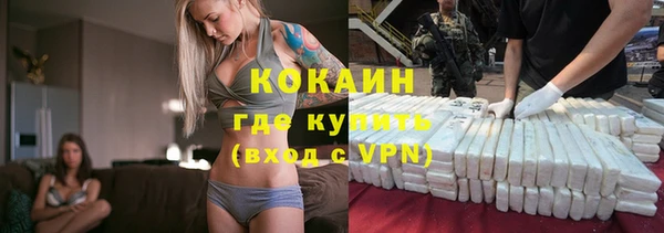 мдпв Карпинск