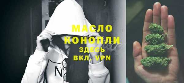 мдпв Карпинск