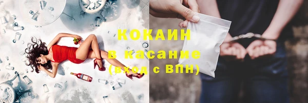 мдпв Карпинск