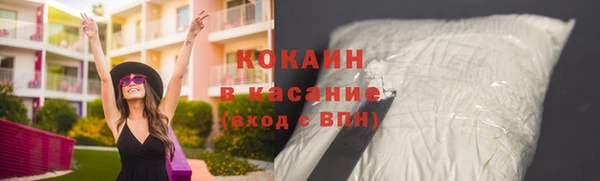 мдпв Карпинск