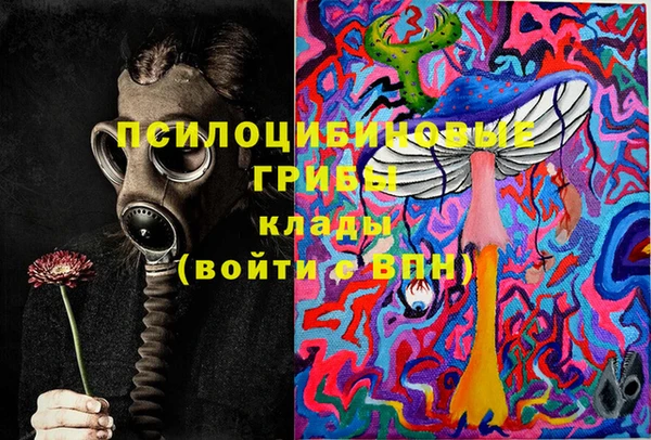 мдпв Карпинск