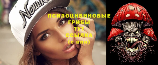 мдпв Карпинск
