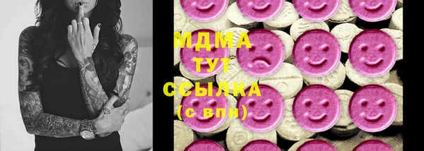 мдпв Карпинск