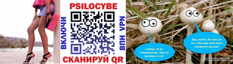 Купить  Нововоронеж  Псилоцибиновые грибы Psilocybine cubensis 